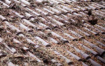 Wrotham Heath roof cleaning companies